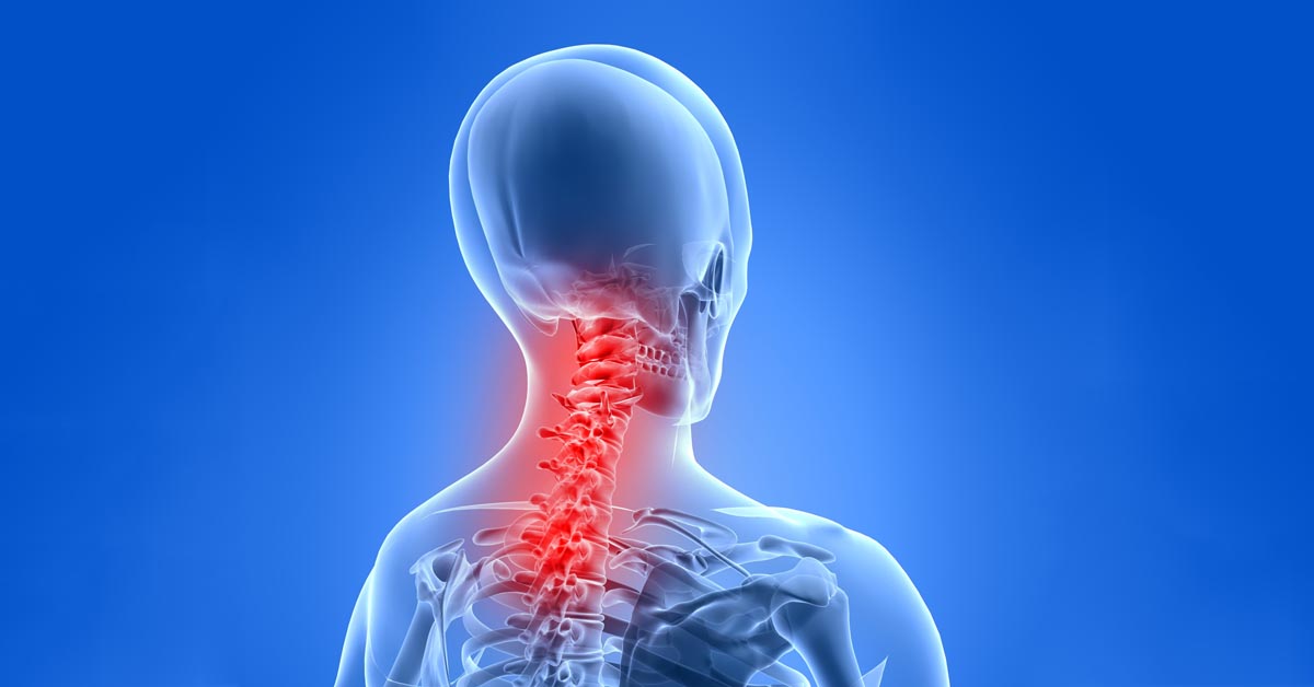 Oakleigh headache care by North Road Chiropractic
