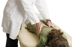 chiropractic adjustments
