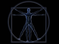 Chiropractor Murrumbeena