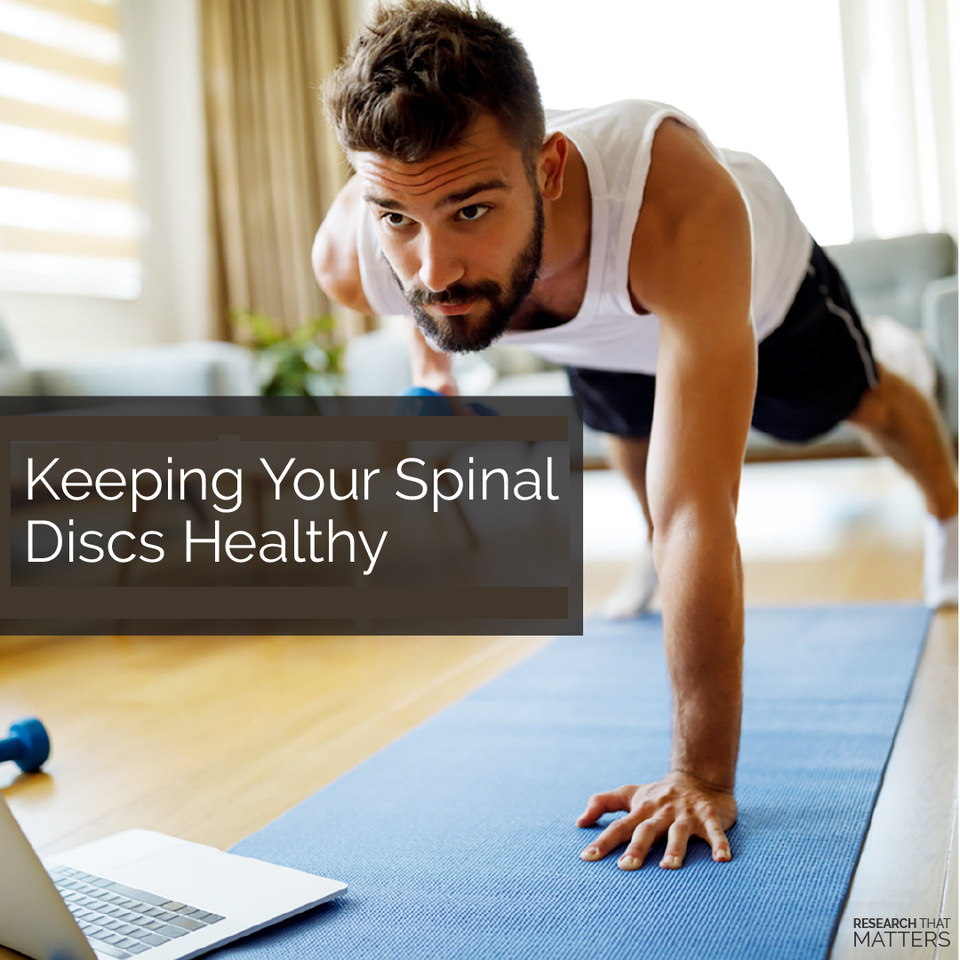 healthy spinal discs